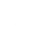 Vulnerability Assessment