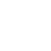 Security Consulting
